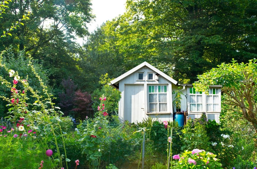Dit is hoe jij de perfecte moestuin kunt samenstellen Dit is hoe jij de perfecte moestuin kunt samenstellen